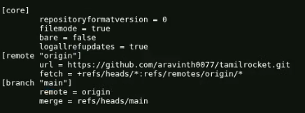 Content inside config file