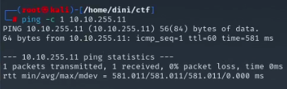 Ping command