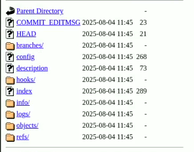Content inside .git folder